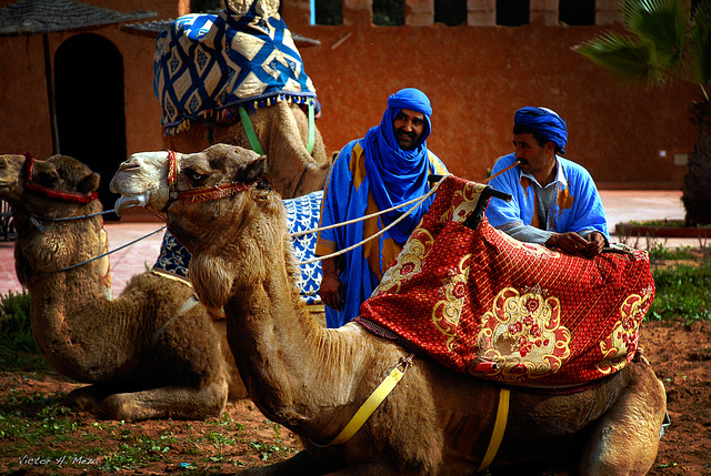 интересное в Марокко