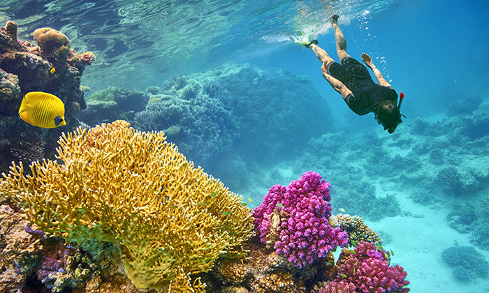 Популярные экскурсии в Марса Аламе