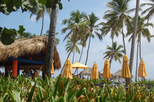 Доминиканa Barcelo Dominican Beach Resort 4* 