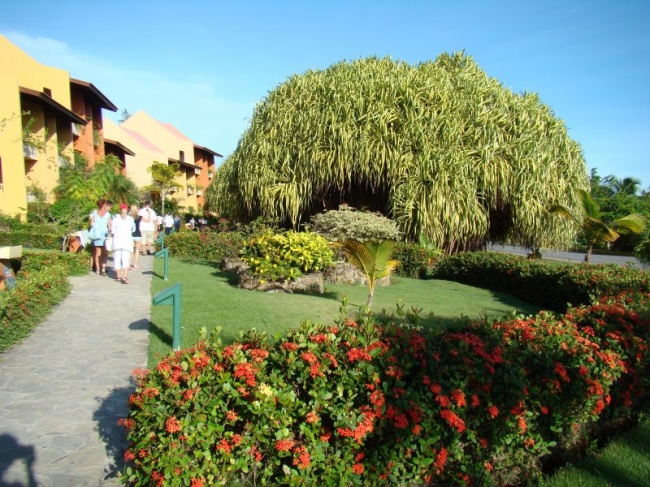 Доминиканa Barcelo Bavaro Caribe Beach Deluxe 4* фото №2