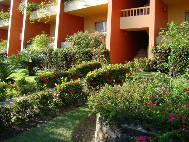 Доминиканa Barcelo Bavaro Caribe Beach Deluxe 4* фото №3