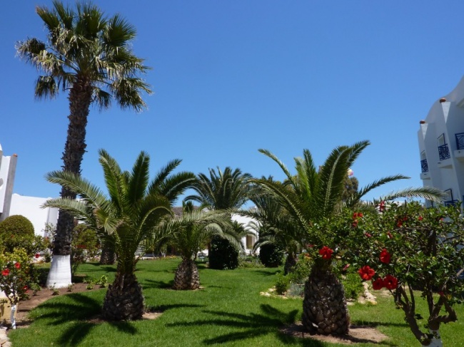 Тунис Eden Club 3* фото №2