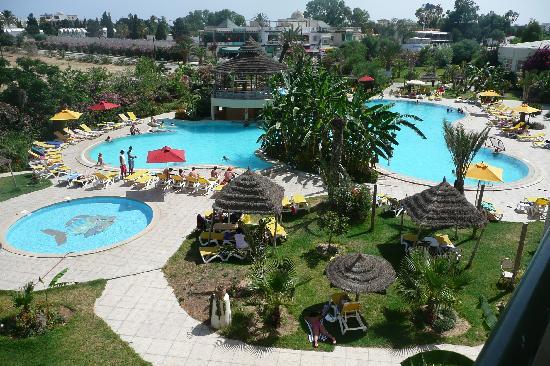 African Queen  фото №4