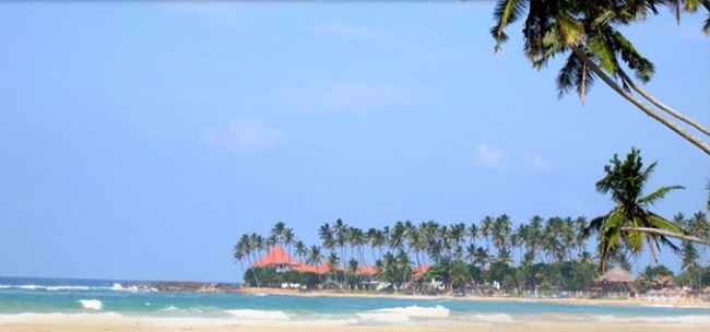 Шри Ланка Dickwella Resort and Spa   4* фото №4