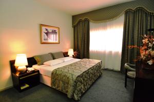 ОАЭ Ras Al Khaimah Hotel 4* фото №1