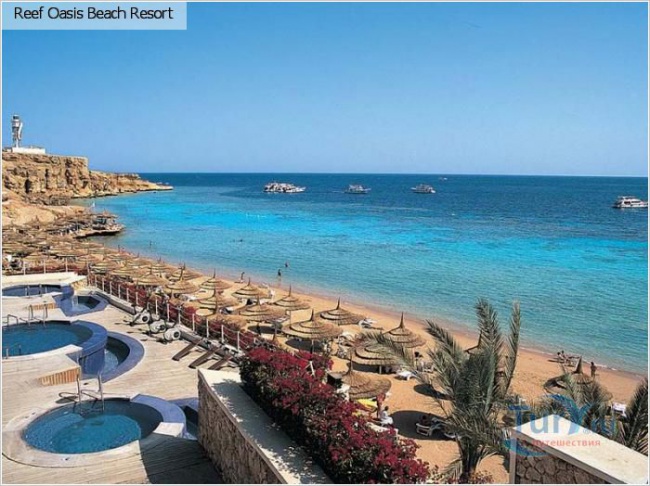 Египет Reef Oasis Beach Resort  5* фото №3