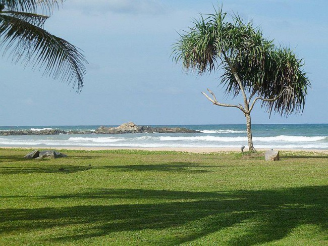 Шри Ланка The Surf 5* фото №1