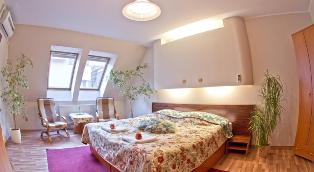 Penzion Slovakia  фото №1