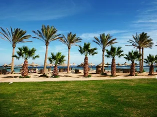 Египет Flamenco Beach 4* фото №1