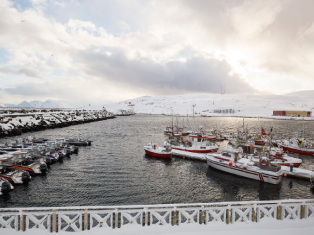 Рыболовная база Биг Фиш Эдвенче фото №1