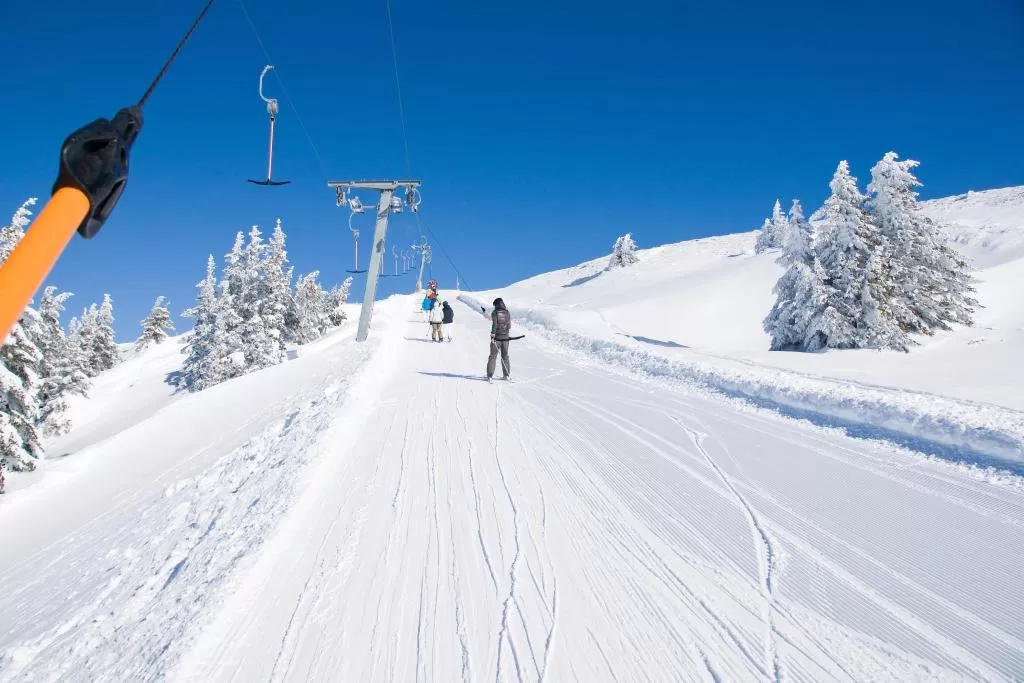 Сербия Zupa Wellness & Spa 5* фото №3