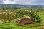 Границы Индонезии будут открыты с 24 декабря по 2 января