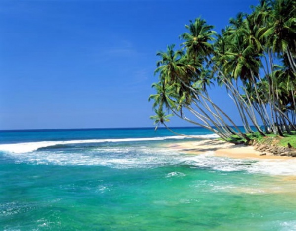 Шри Ланка ”Тур Экзотика Шри Ланки + отдых на побережье” 