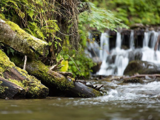 Украина На склоне гор: Пилипец + Синевир и Тустань