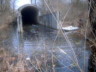 Украина ”Змійові вали” - оборонні споруди тисячоліть на Київщині