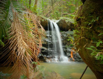 Малайзия Борнео: Долина Данум + водопады