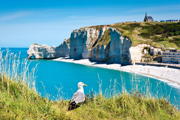 Франция Французские приключения: от Диснея до Нормандии