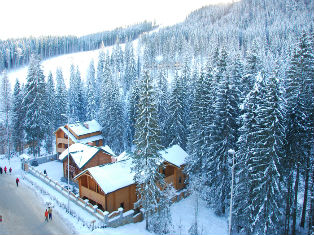 Финляндия Новогодний тур в Лапландию!