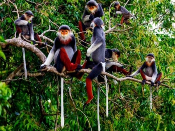 Коста-Рика Главные парки Коста Рики