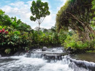 Коста-Рика Волшебная Коста-Рика