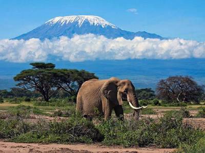 Танзания Восхождение на Килиманджаро - маршрут Лемошо