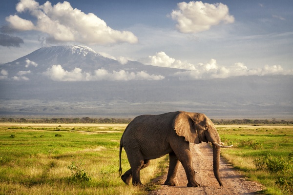 Замбия История, современность и природа на краю Земли