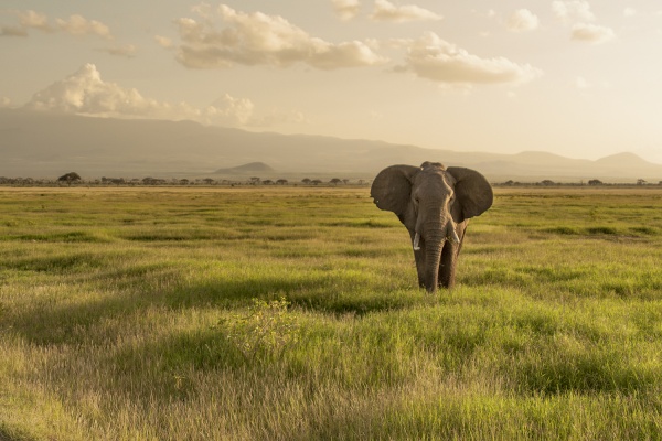 Замбия История, современность и природа на краю Земли