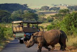 Ботсвана Большое путешествие по Африке 