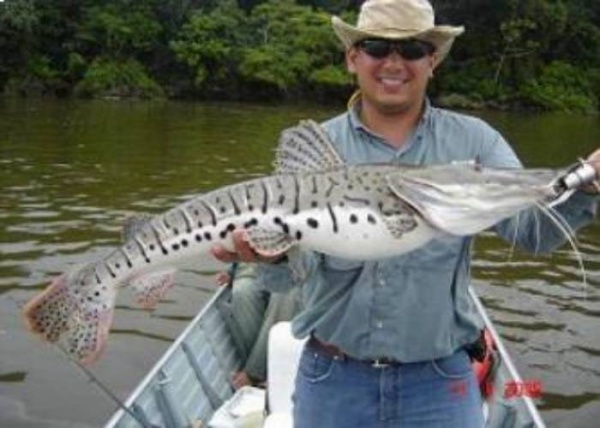 Бразилия Рыбалка в Пантанале