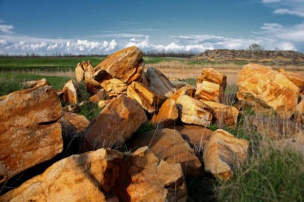 Украина Аскания Нова