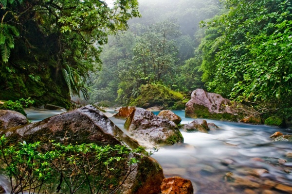 Коста-Рика Пять чудес Коста-Рики 2025