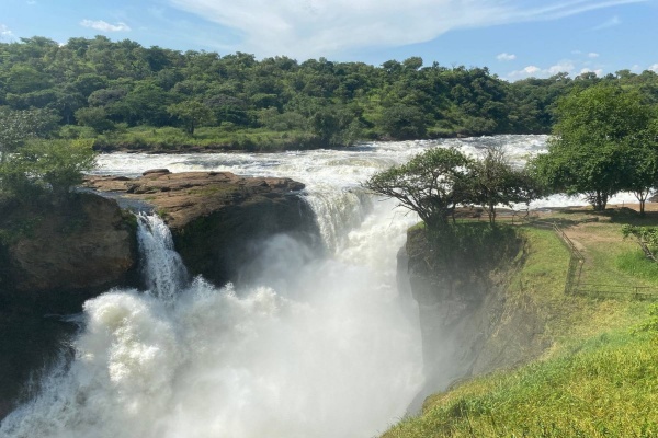 Уганда Уганда: стежиною горил