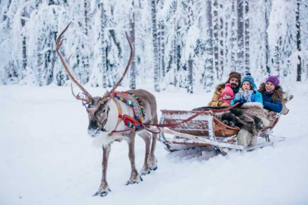 Лапландия: Новогодняя сказка в реальности. Выезд со Львова