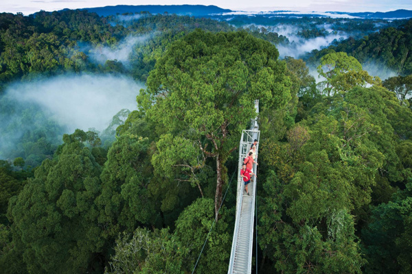 Коста-Рика Классическая Коста-Рика 6 дней