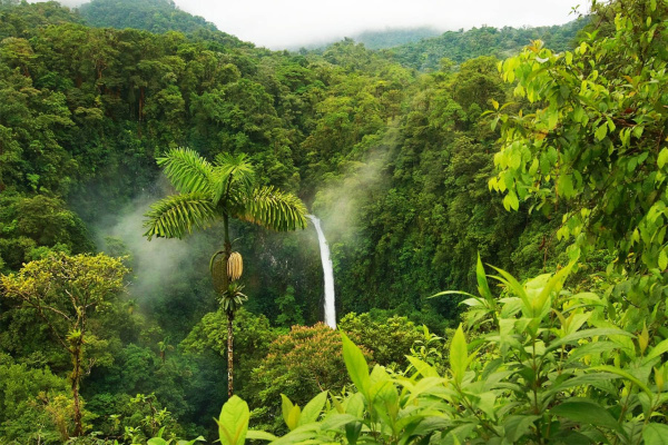 Коста-Рика Классическая Коста-Рика 6 дней