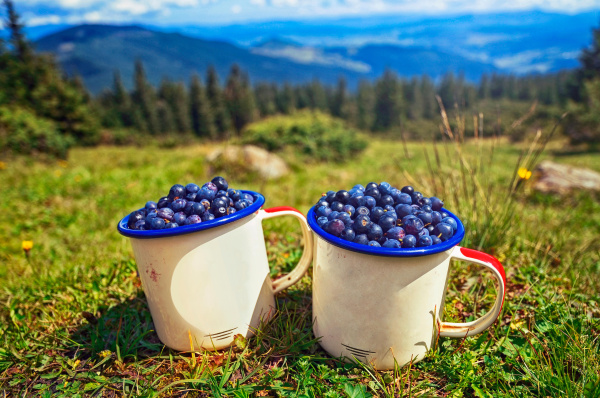 Выходные на Драгобрате