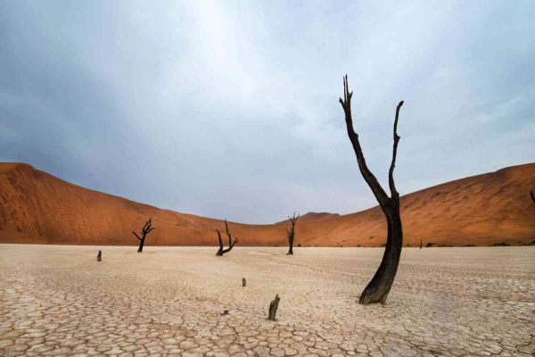 Намибия Соссусвлей, Эронго и Этоша