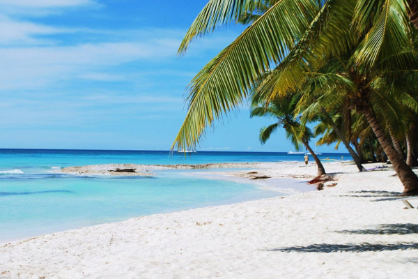 Туры в Доминикану из Торонто 2026