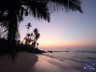 отдых на пляже Шри-Ланка, шри ланка тур из киева, шри ланка орион интур