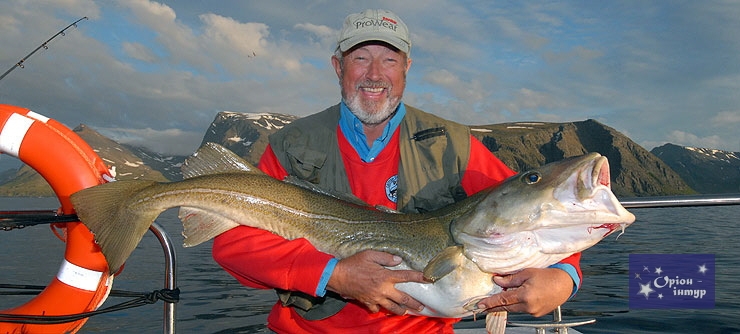 Туры на рыбалку в Норвегию, фьорды Норвегии, отдых в Норвегии